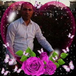Avci