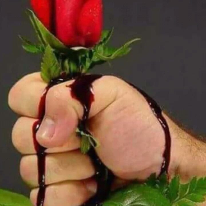 Didar