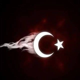 Yiğit
