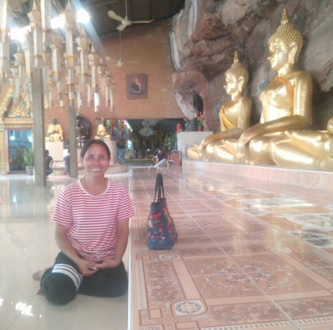 หนูแปลง