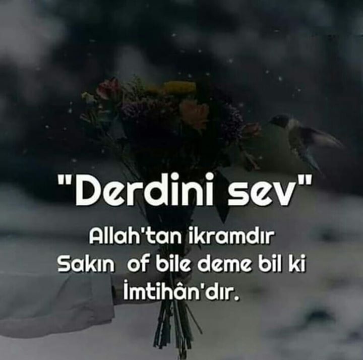 Muhittin