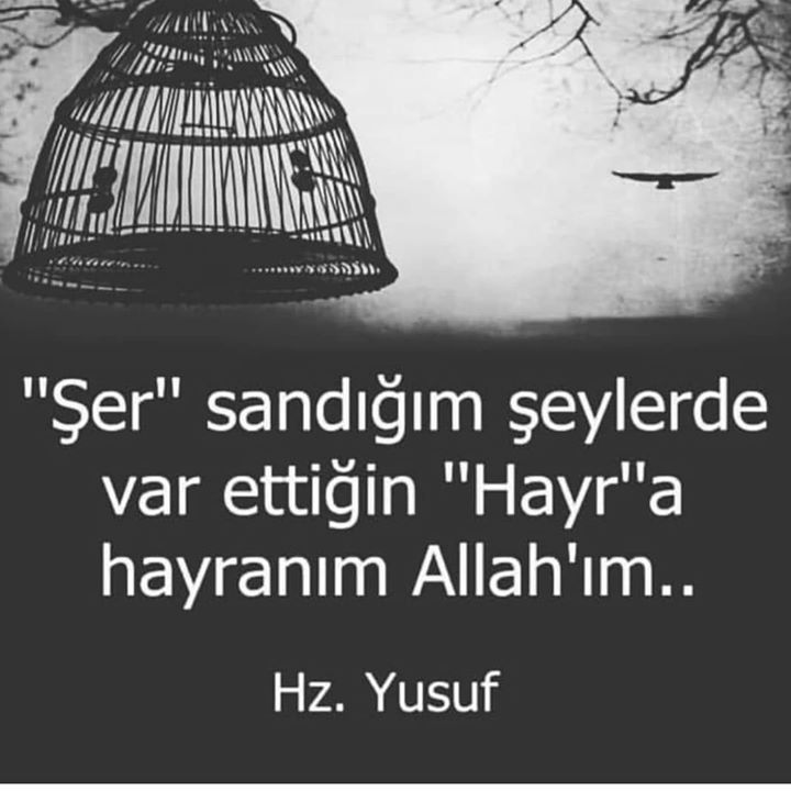 Enes