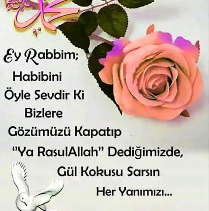 Kursat