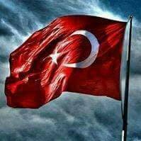Halil