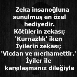 Gazi