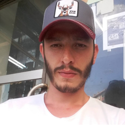 Serdar