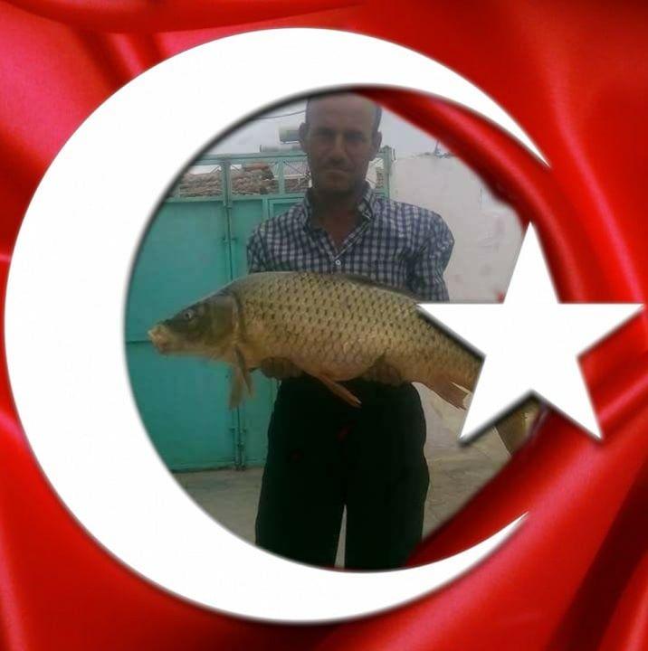 Alim