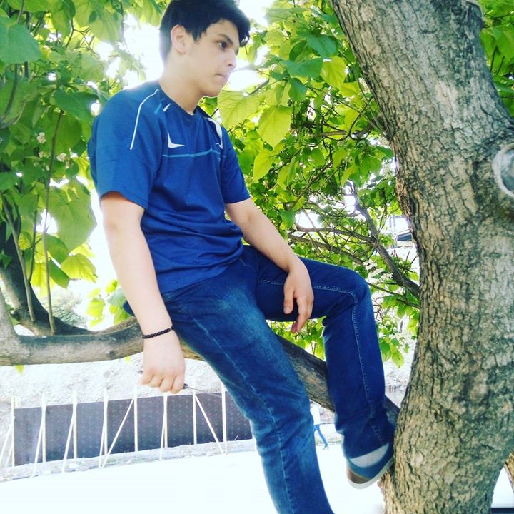 Serdar