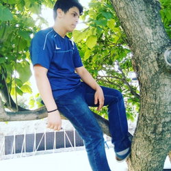Serdar