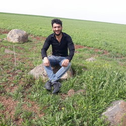 Mahmut