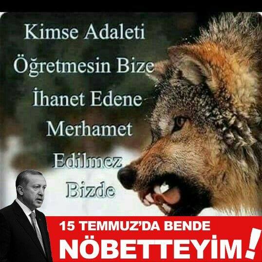 Erdal