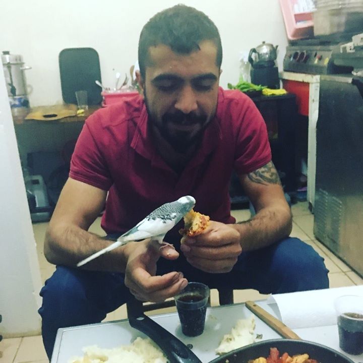 Gürkan