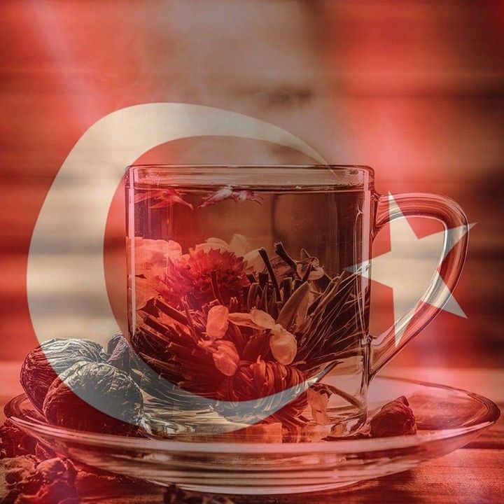 Murat
