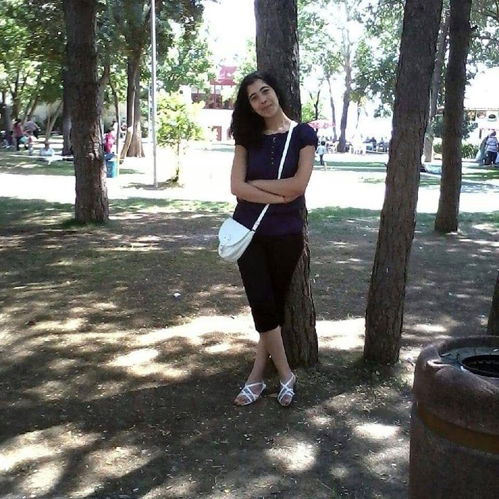 Buse