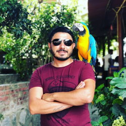 Özer