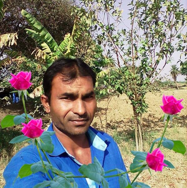 रतनलालमालवीयधामैडि