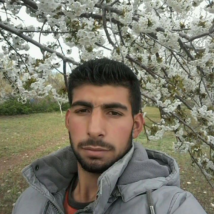 مراد