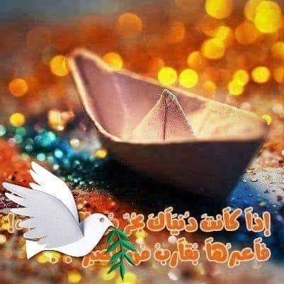 هاني