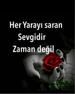 Zehra
