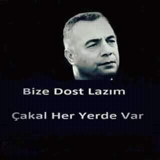 Altun