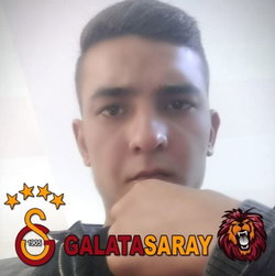 Habeş