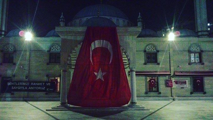 Mücahit