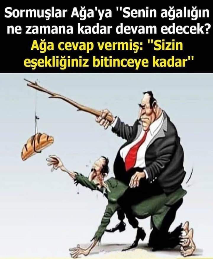 Mahmut