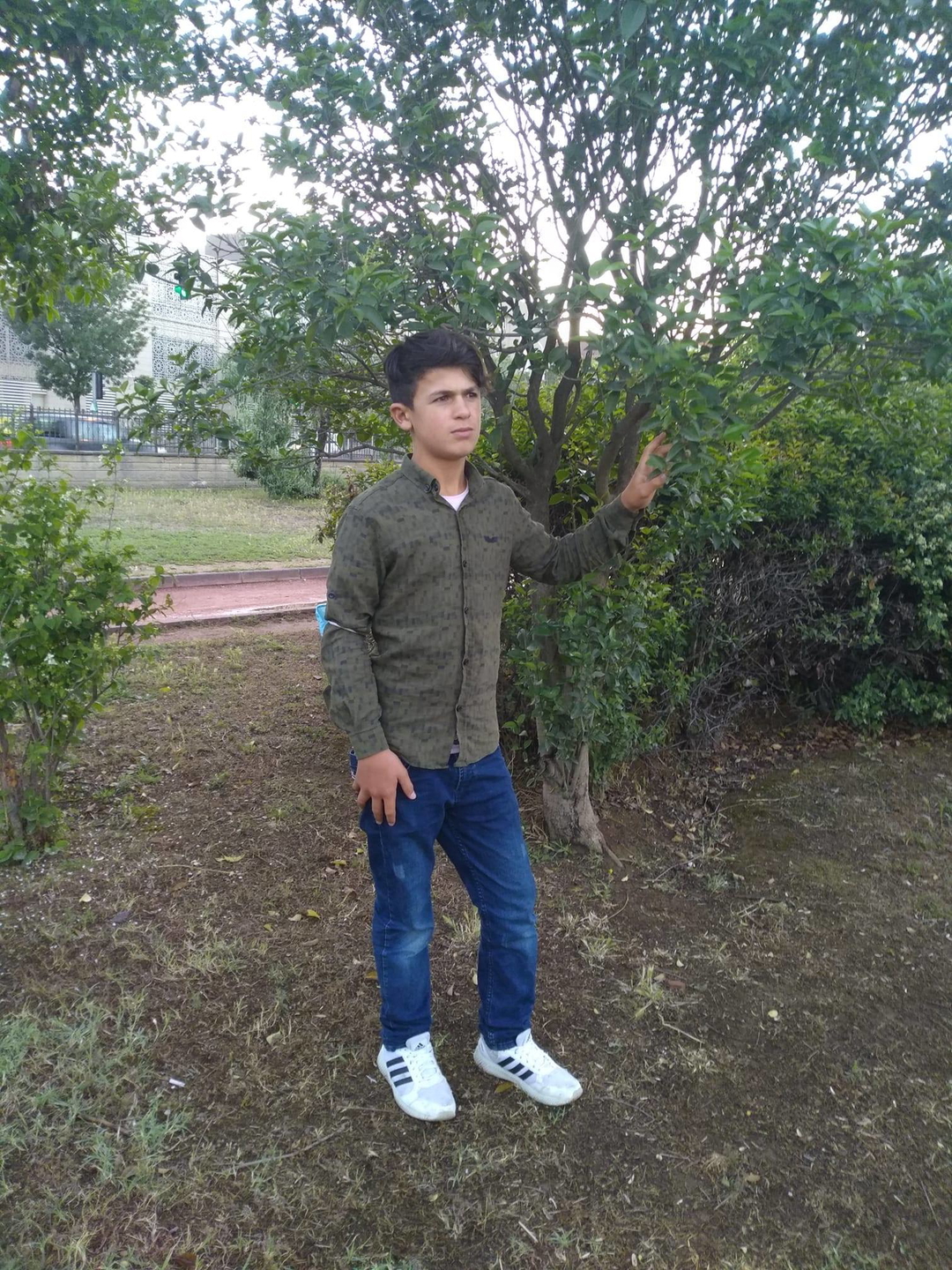Imdat