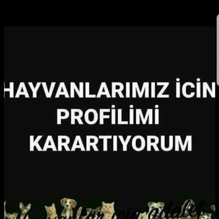 Kaan