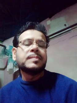 Shaib