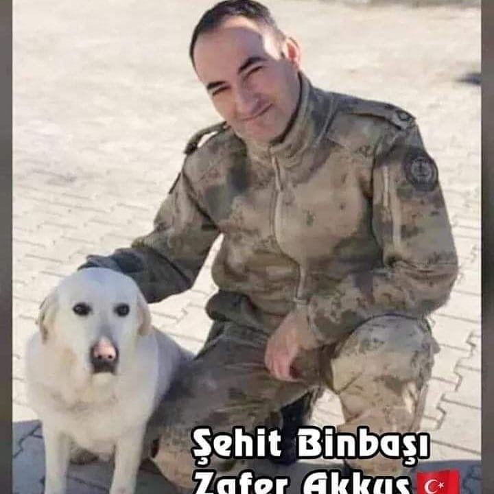 Ozan
