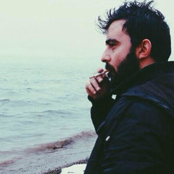 Bora
