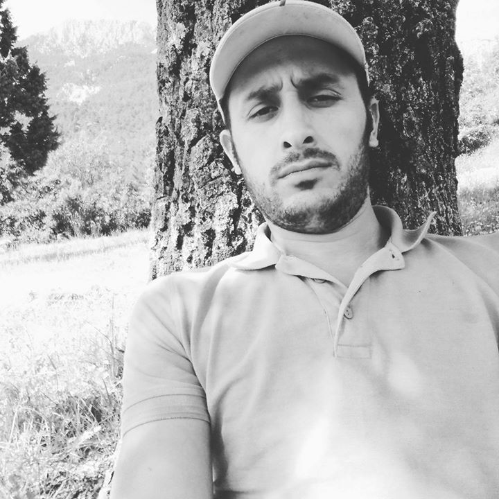 Davut