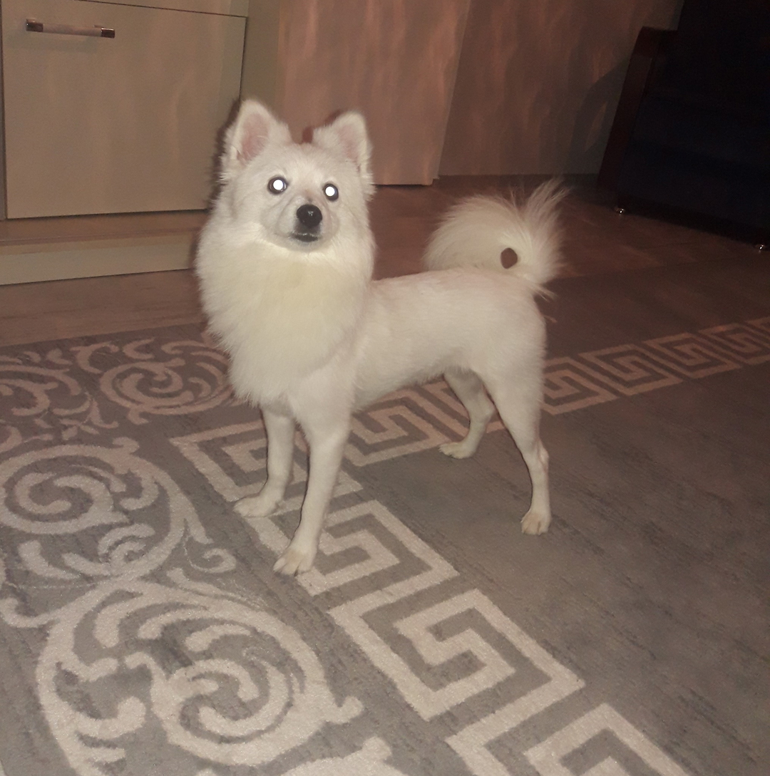 Mia