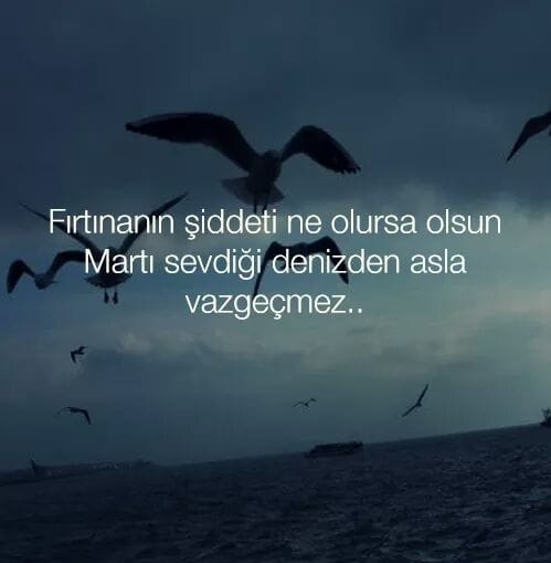 Arzu