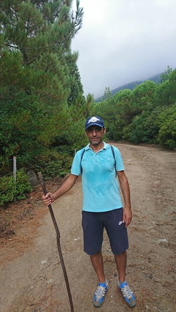 Umut