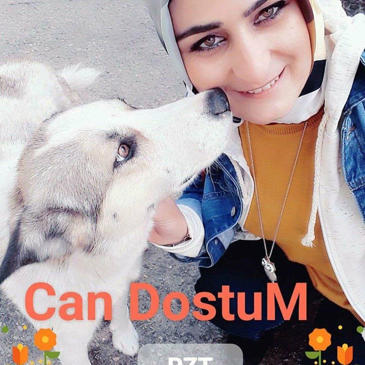 Gülşen