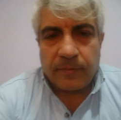 Şahin