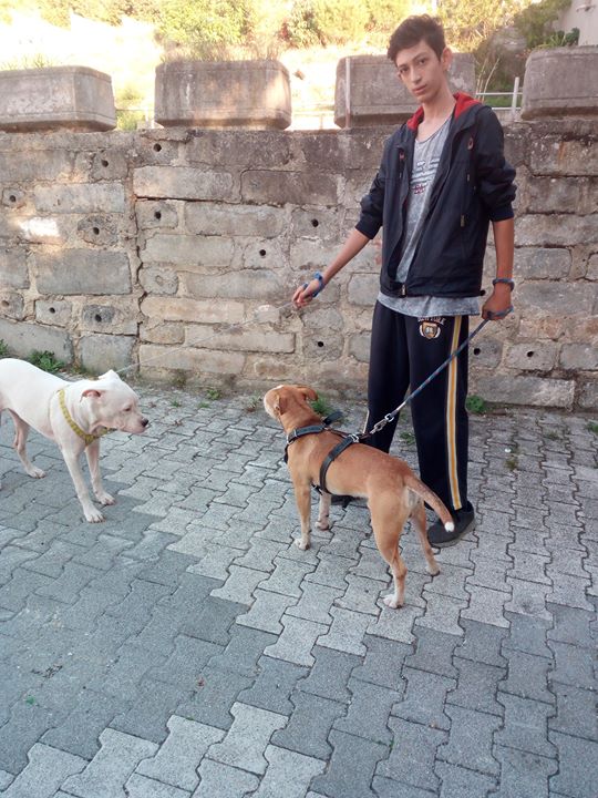 Oğuzprakur