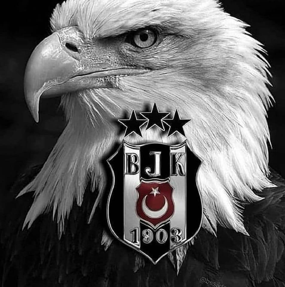 İsa