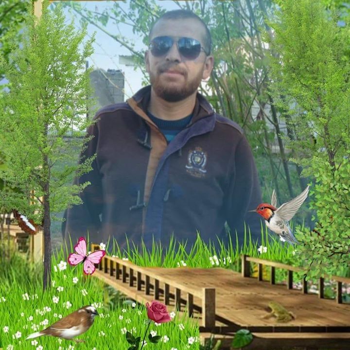 Sedat