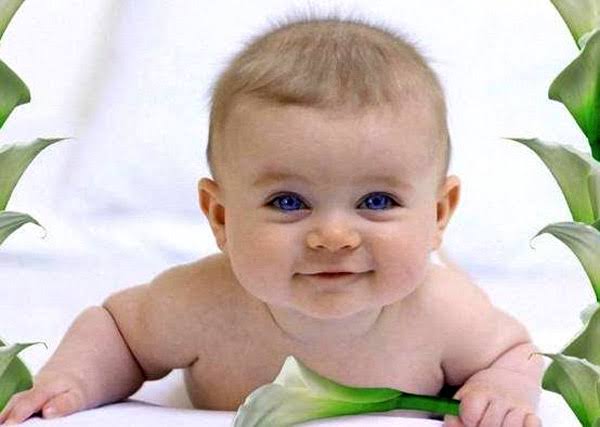 Cansu