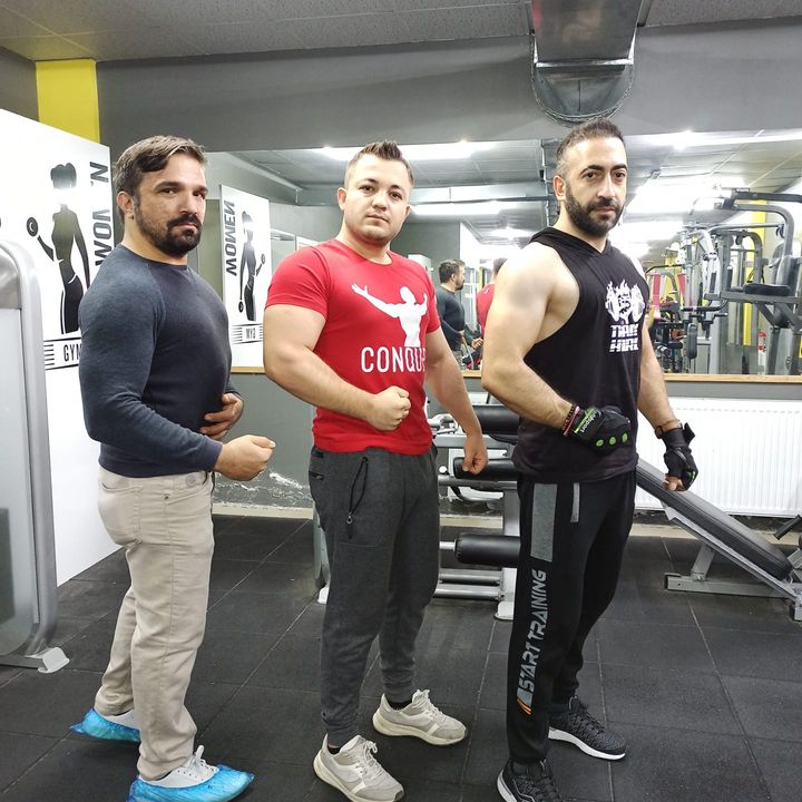 Doğan