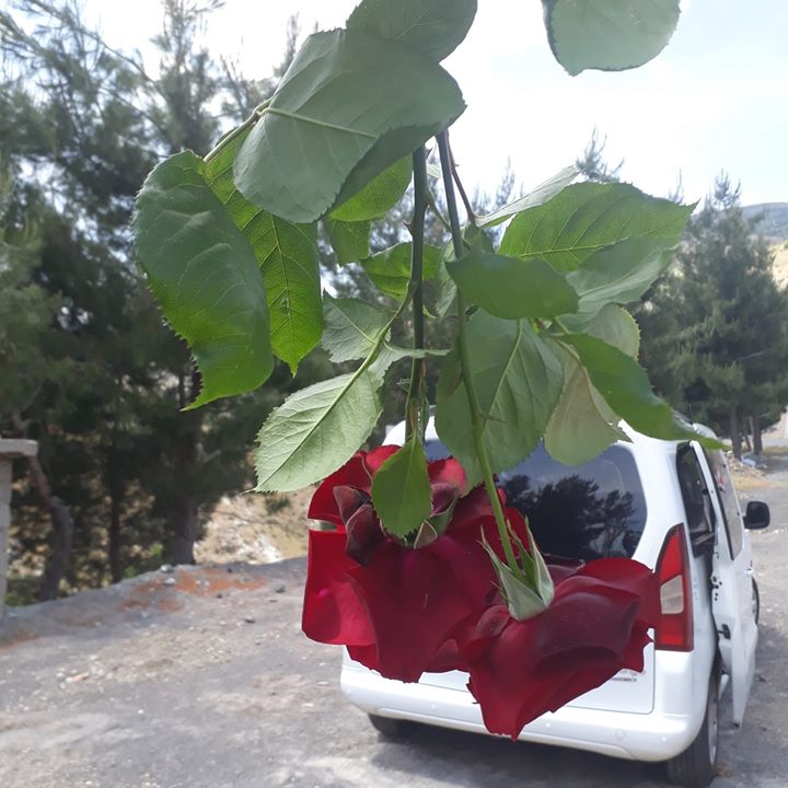 Mikail