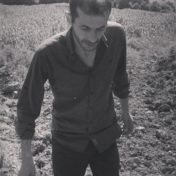 Metin