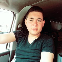 Şahin