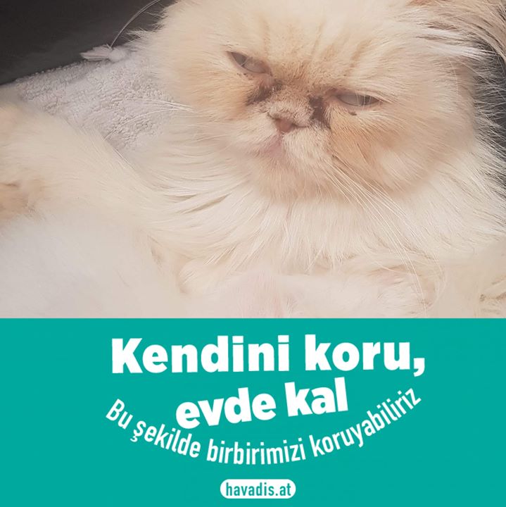 Evde