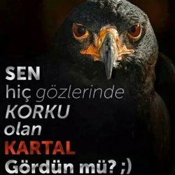 Kadir