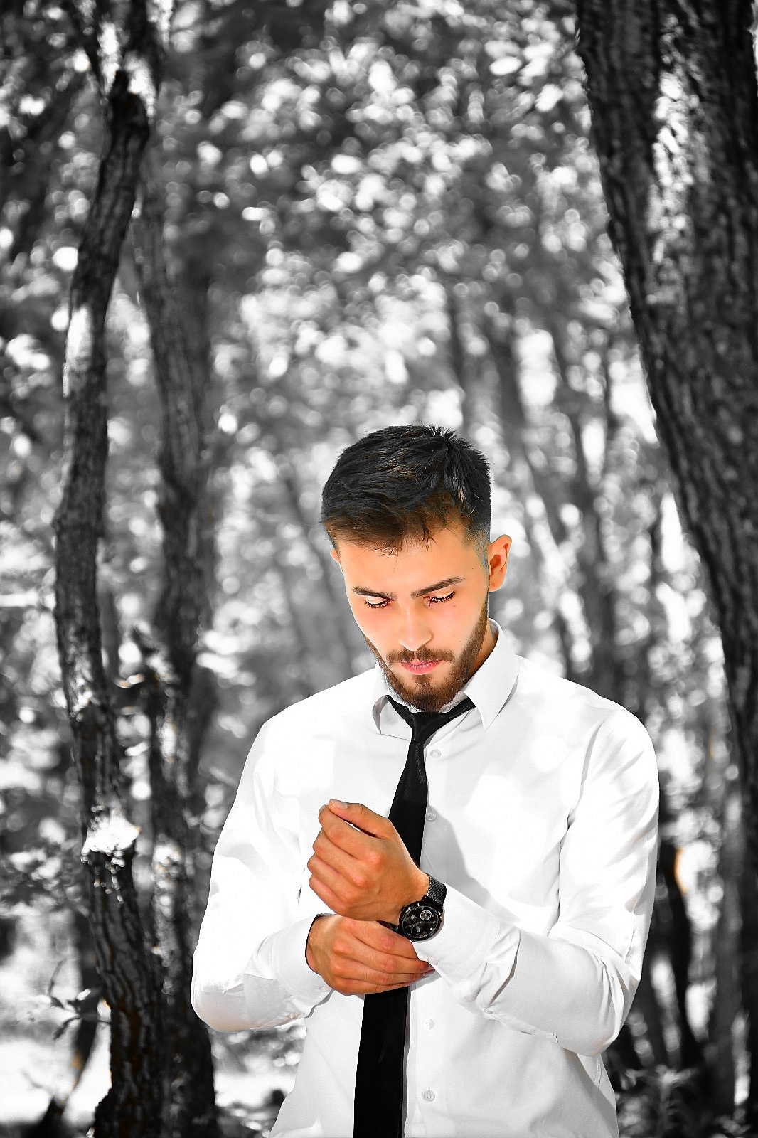 Oktay