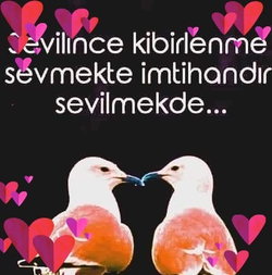 Songül